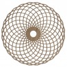 "Torus 2"